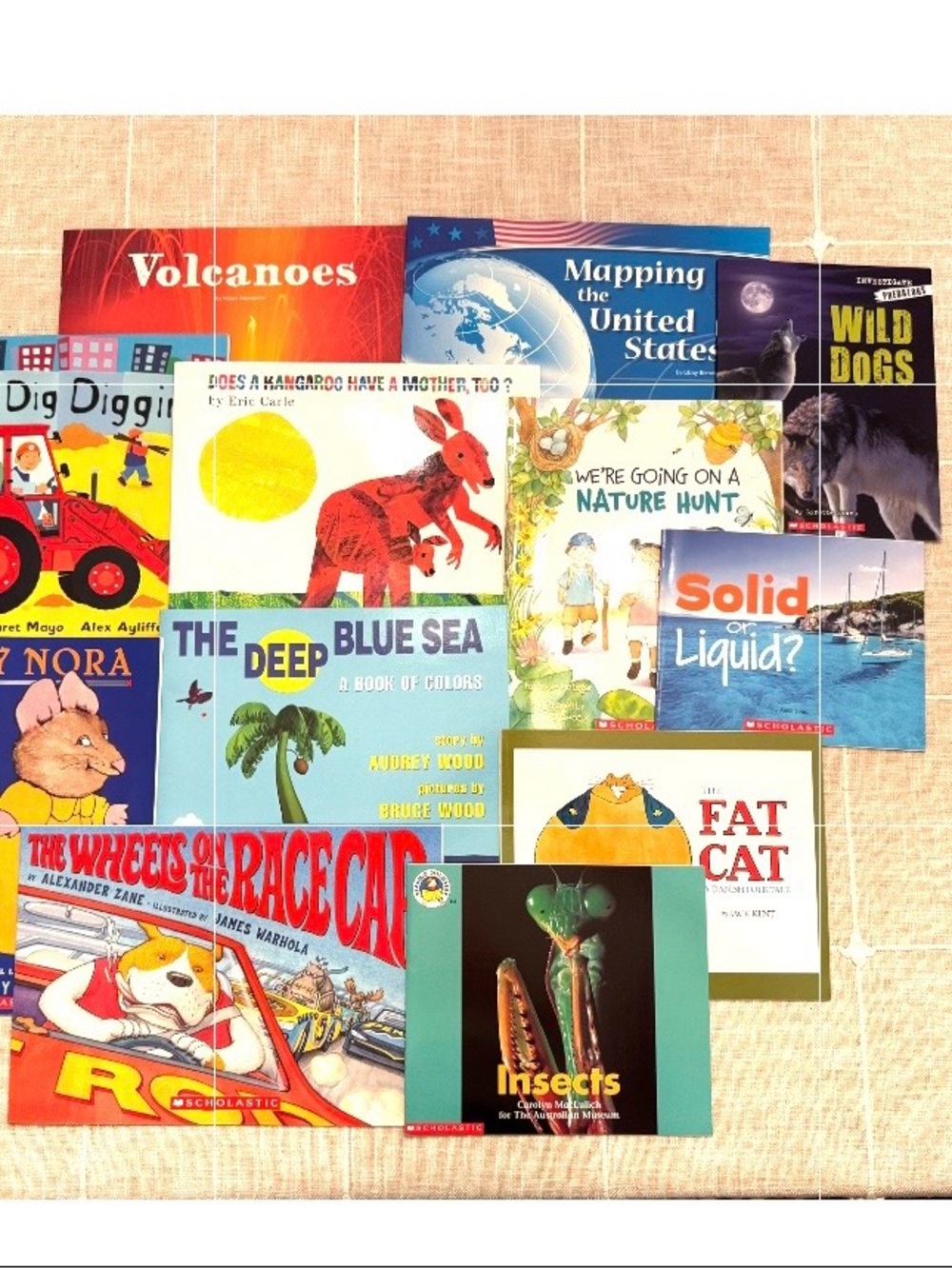 Scholastic Children's Picture Book Lot - NWT